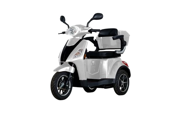 STORMBORN Elektromobil R3, 1000,00 W, 25,00 km/h
