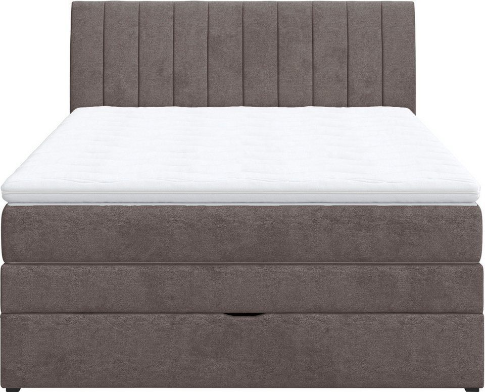 COTTA Boxspringbett Shark inkl. Bettkasten und Topper, erhältlich in den Breiten