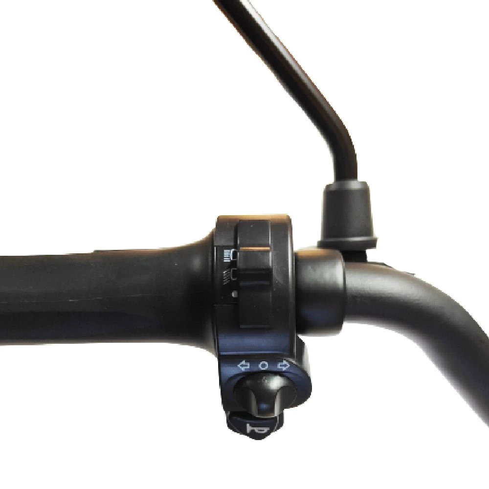 Forca E-Scooter Captain Pro 2000W - 18AHBlei Gel Akku, 50,00 km/h, , mit Straßenzulassung