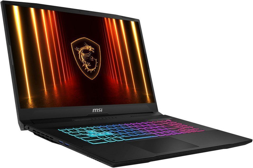 MSI Katana 17 HX B14WGK-062 Gaming-Notebook (43,9 cm/17,3 Zoll, Intel Core i7 14