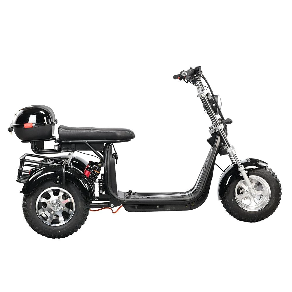 DOTMALL Elektromobil eHoodax 05WQ Maximale Last 250KG 18 Zoll Fat Elektroroller 2000W Motor