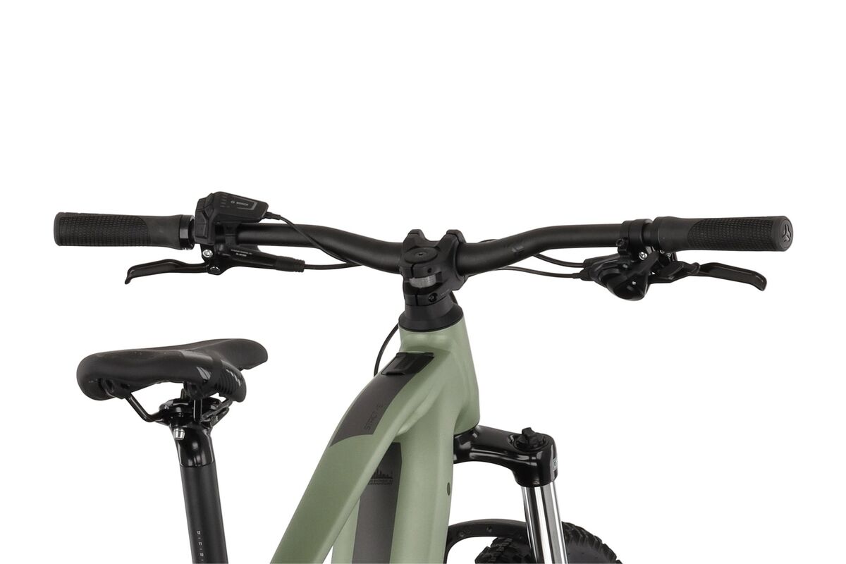 Carver Strict E.520 - 625 Wh - 29 Zoll - Diamant Grün