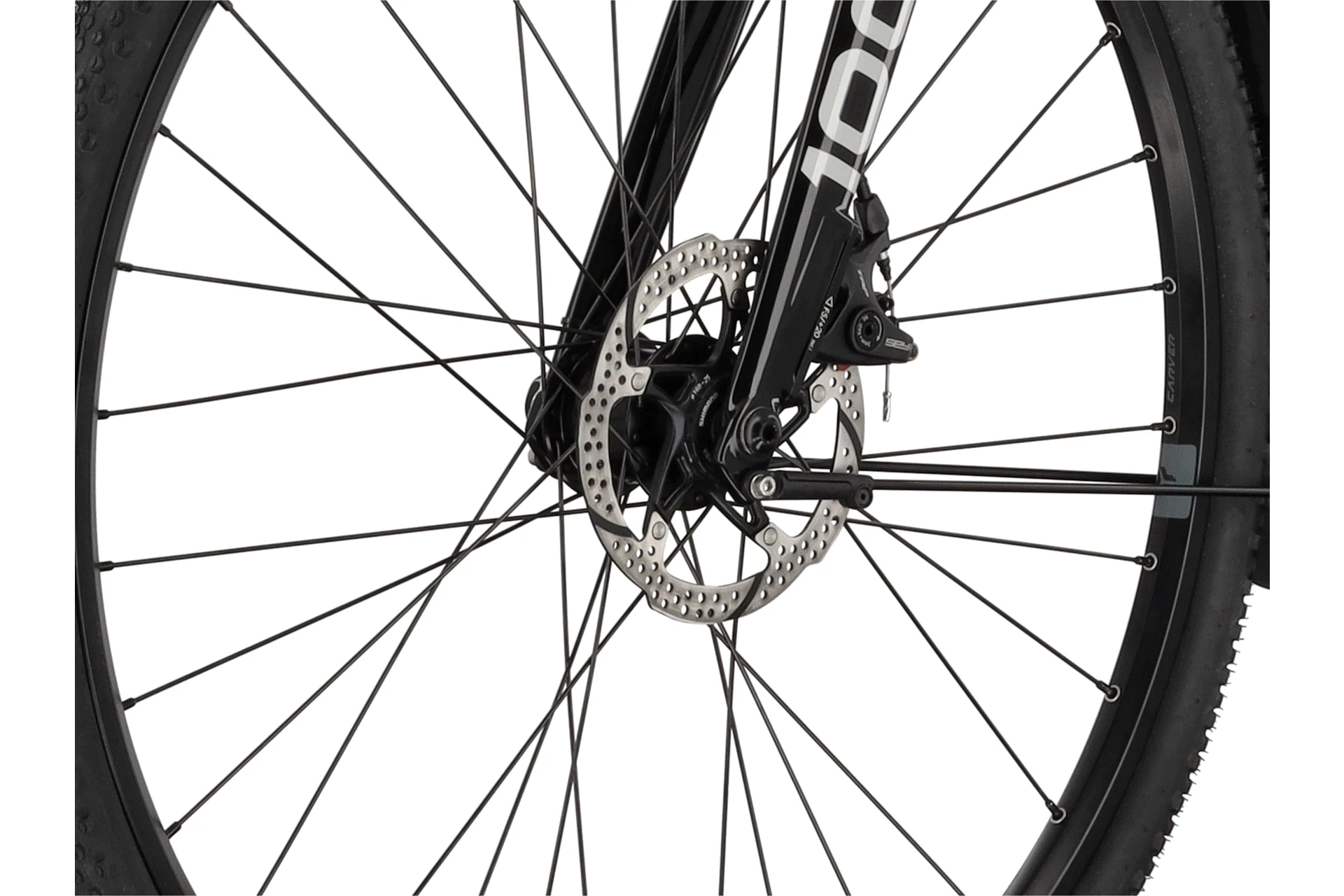 Carver Gravel 100 Street - 28 Zoll - Diamant - 2024