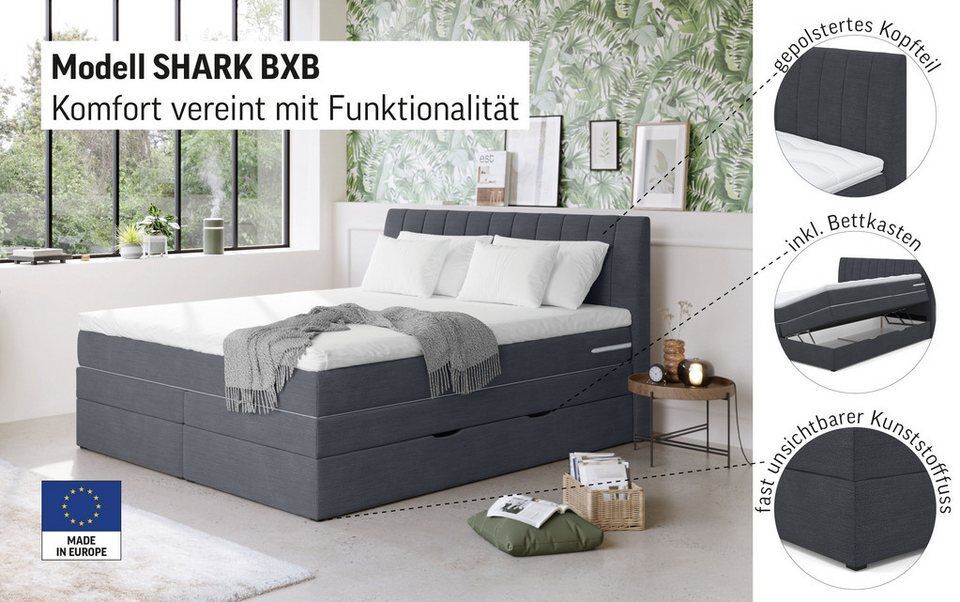 COTTA Boxspringbett Shark inkl. Bettkasten und Topper, erhältlich in den Breiten