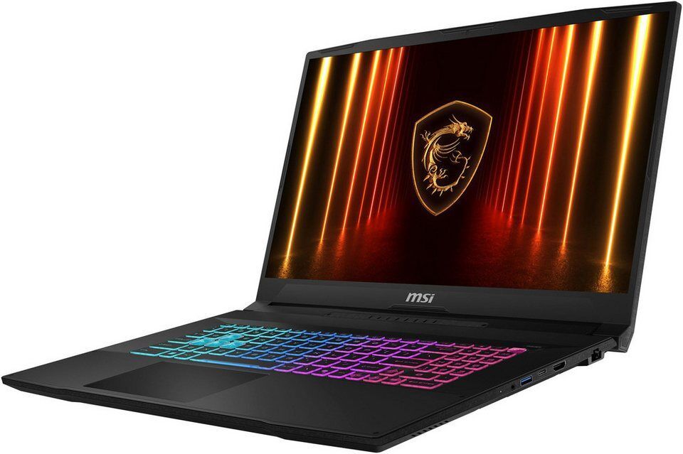 MSI Katana 17 HX B14WGK-062 Gaming-Notebook (43,9 cm/17,3 Zoll, Intel Core i7 14