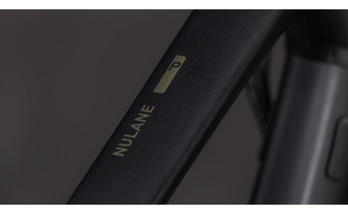 Cube Nulane Pro FE - 28 Zoll - Diamant - 2026