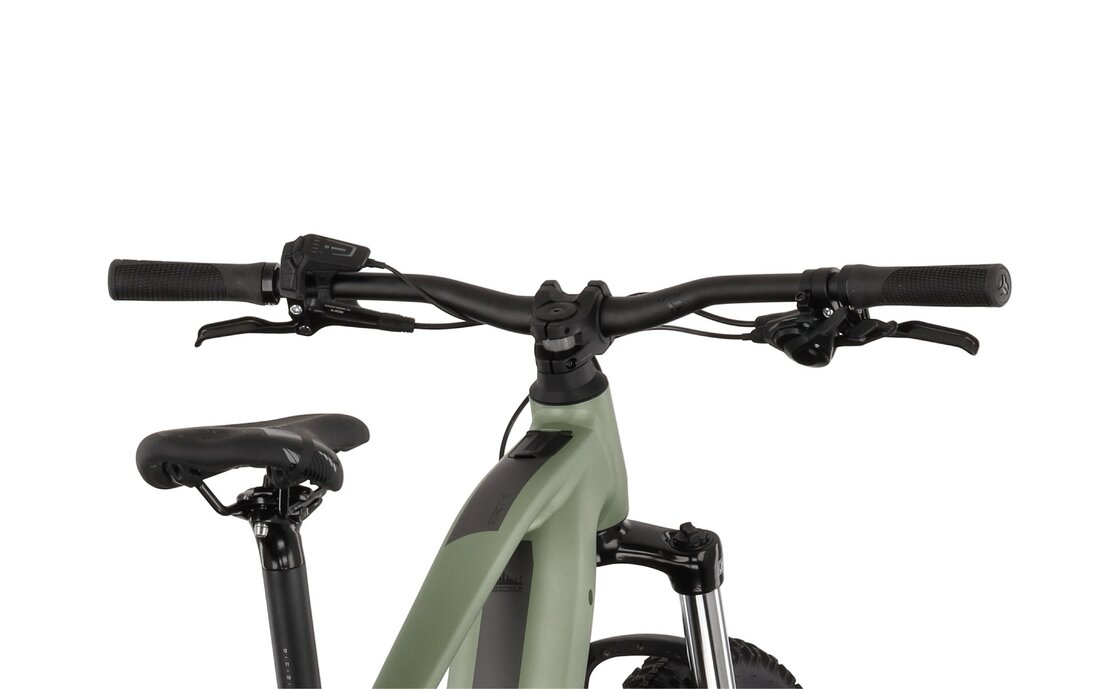 Carver Strict E.520 - 625 Wh - 29 Zoll - Diamant Grün