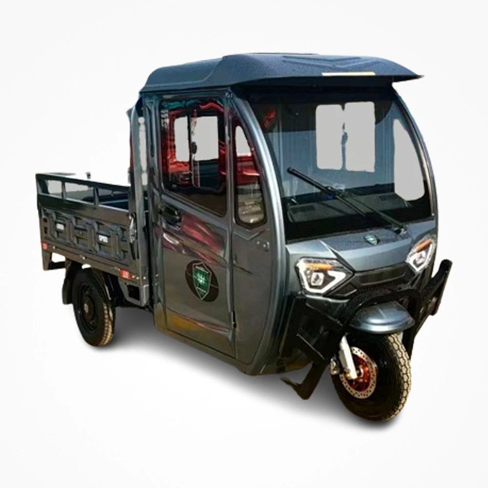 STW GMBH E-Motorroller 3-Rad Elektro Cargo Pritsche mit Kippfunktion "PETIT" 25 km/h ... mehr