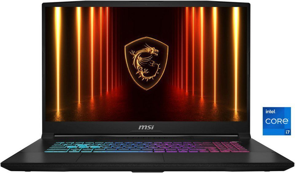 MSI Katana 17 HX B14WGK-062 Gaming-Notebook (43,9 cm/17,3 Zoll, Intel Core i7 14