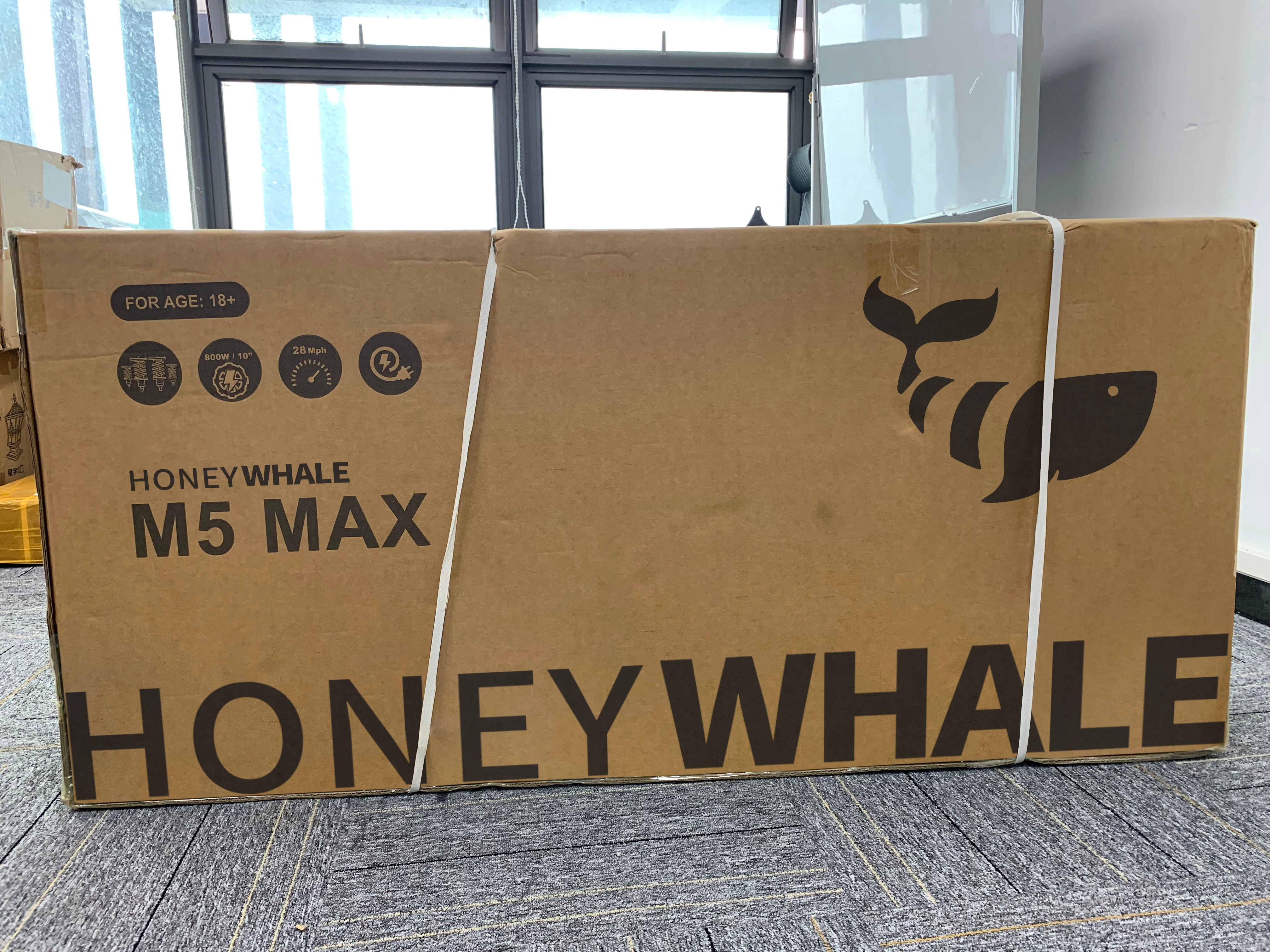 DOTMALL E-Scooter 10 Zoll HONEY WHALE M5 Max mit ABE-Gutachten E-Roller