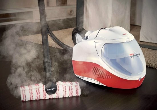 Polti Dampfreiniger VAPORETTO LECOASPIRA FAV50, 2450 W