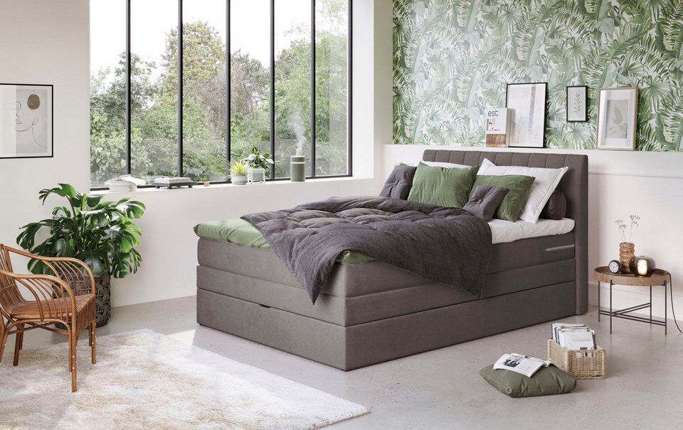 COTTA Boxspringbett Shark inkl. Bettkasten und Topper, erhältlich in den Breiten