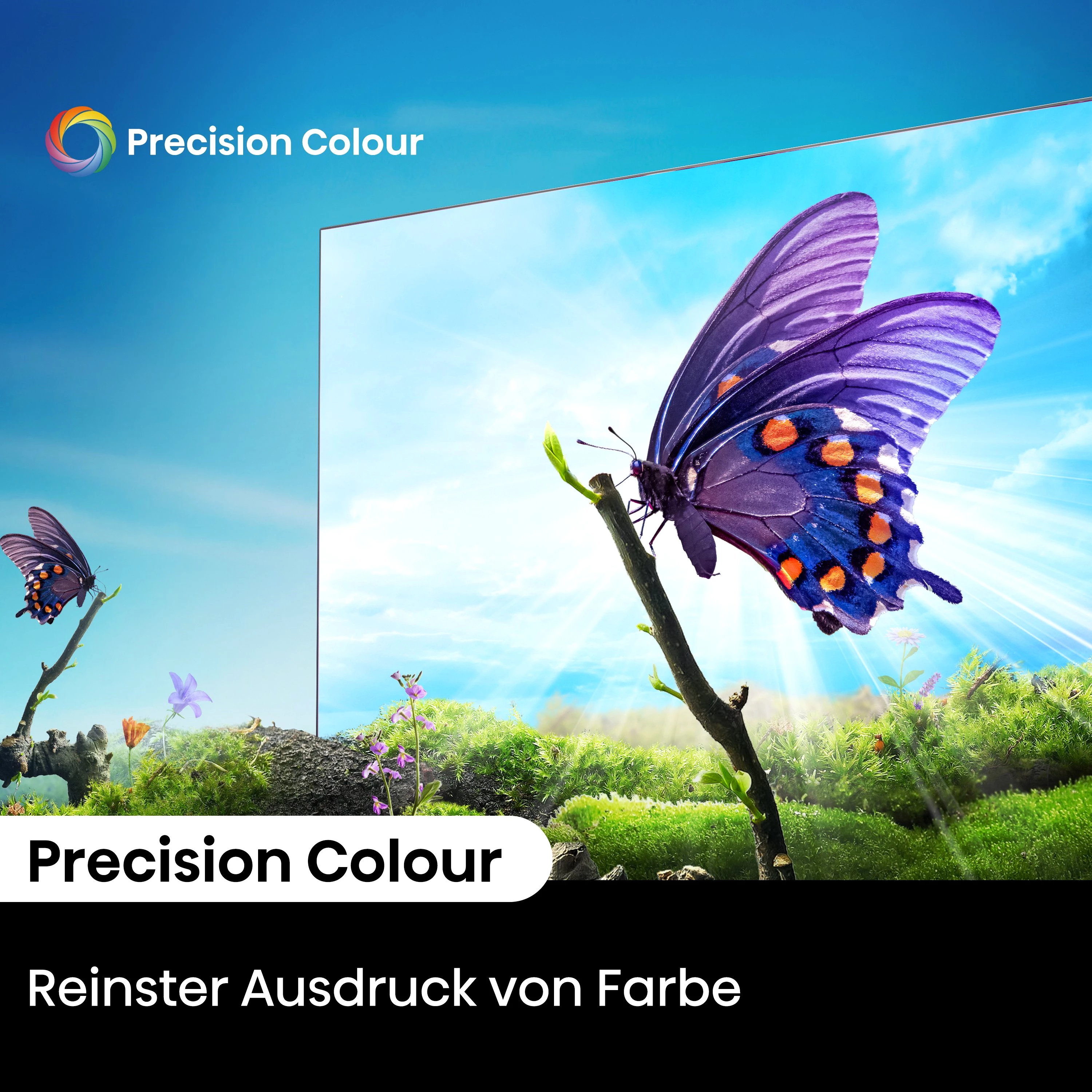 Hisense 85E6NT LED-Fernseher (214 cm/85 Zoll, 4K Ultra HD, Smart-TV, 4K UHD)