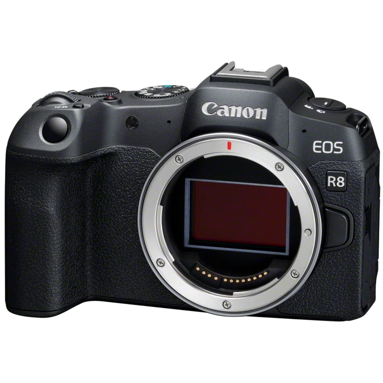 Canon EOS R8 mit RF 24-50mm F4.5-6.3 IS STM