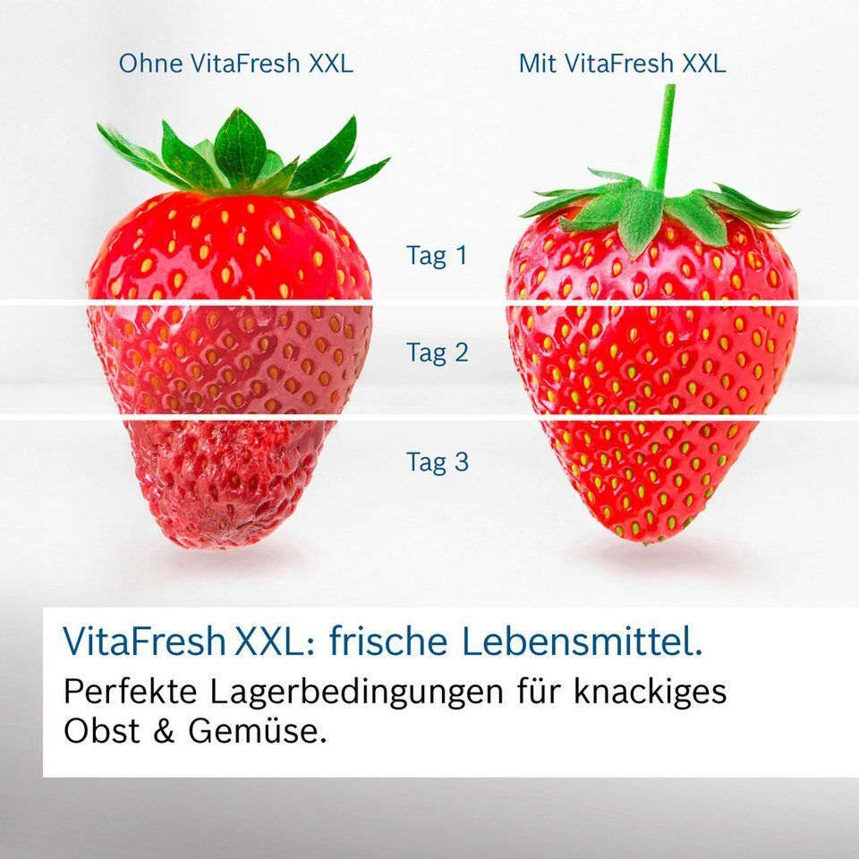 BOSCH Kühl-/Gefrierkombination KGN49VICT, 203 cm hoch, 70 cm breit, VitaFresh XX