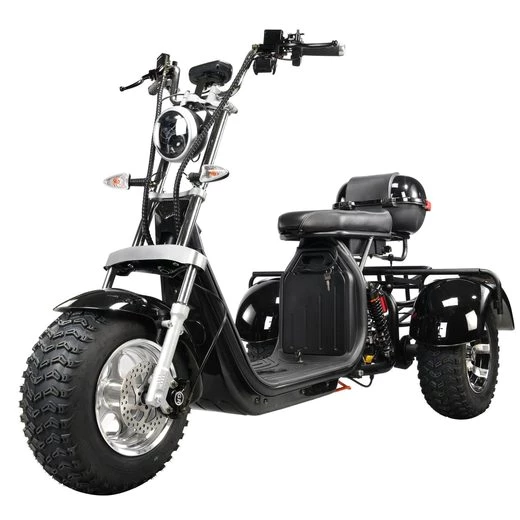 DOTMALL Elektromobil eHoodax 05WQ Maximale Last 250KG 18 Zoll Fat Elektroroller 2000W Motor